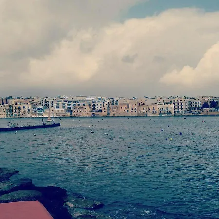 Beagle * Birżebbuġa
